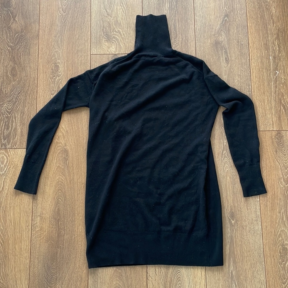 Everlane Cashmere Turtleneck Sweater Dress